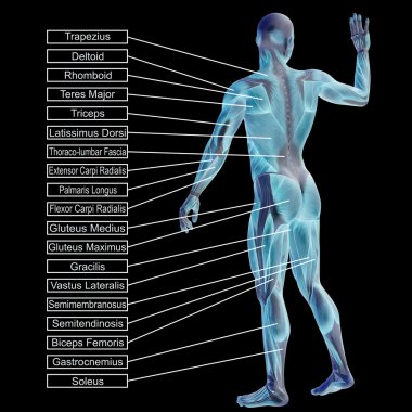  adam kasları ve metin 