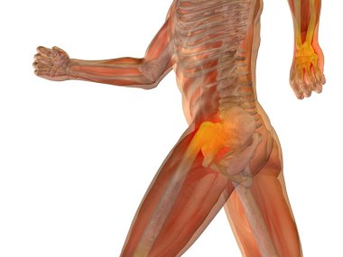 kavramsal insan anatomisi