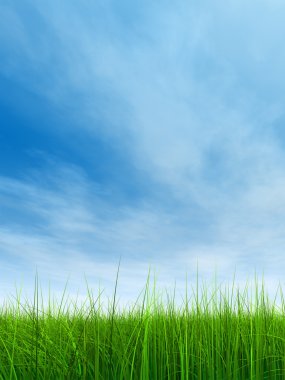 çimen tarlası ve mavi gökyüzü