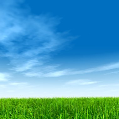 çimen tarlası ve mavi gökyüzü