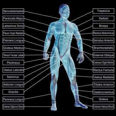  adam kasları ve metin 