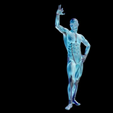 Anatomi tasarımlar için kaslı adam.