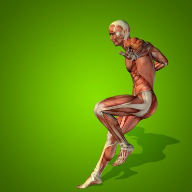 kavramsal stong insan