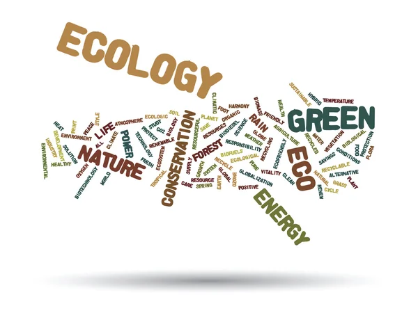 Ecology word cloud — Stock Photo, Image