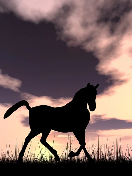 l black horse silhouette in grass