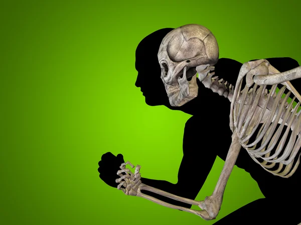Anatomia, komoda, ciało, głowa — Zdjęcie stockowe