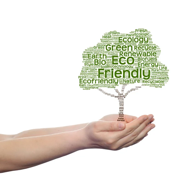 Ökológia szöveg szó felhő fa — Stock Fotó