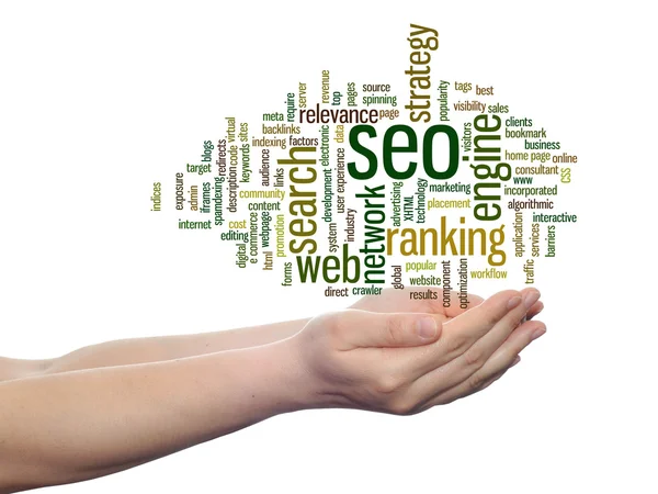 Seo  word cloud — Stock Photo, Image