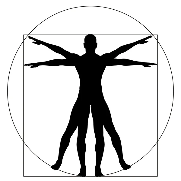 Proportion Anatomie Körper — Stockfoto