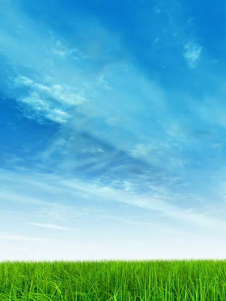 Grass field and  blue sky — Stock Photo, Image