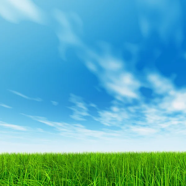 Травяное поле и голубое небо — стоковое фото