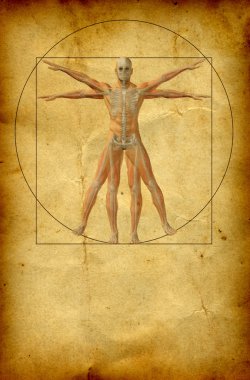 Vitruvius insan vücudu çizim 