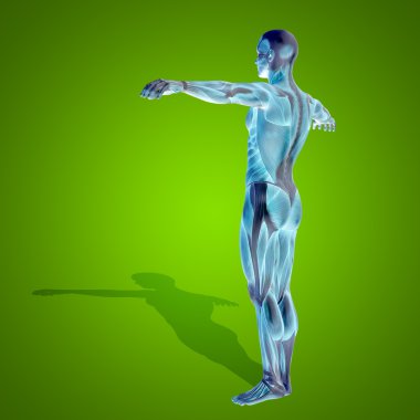 kavramsal stong insan