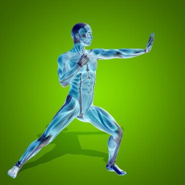 kavramsal stong insan