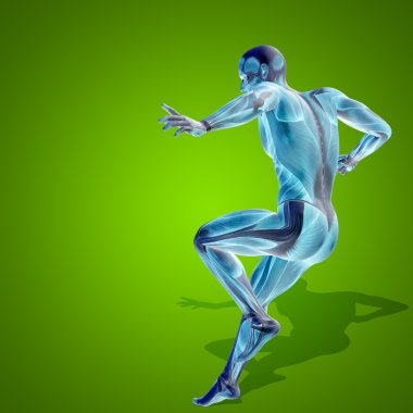 kavramsal stong insan