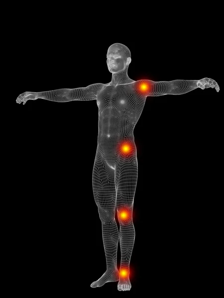 Kavramsal insan anatomisi — Stok fotoğraf