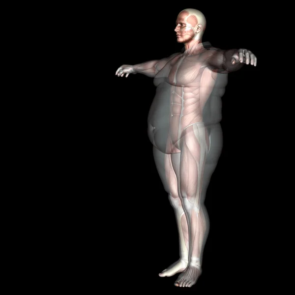 Fat overweight vs slim man — Stock Photo, Image