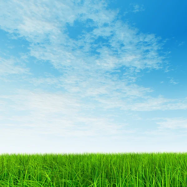 Campo de hierba y cielo azul — Foto de Stock