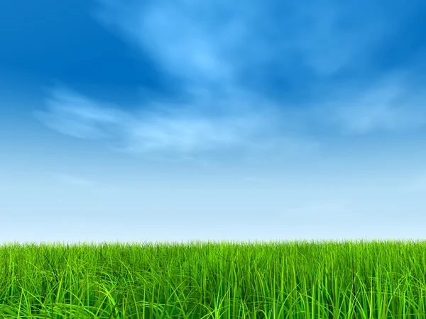 Campo de hierba y cielo azul — Foto de Stock