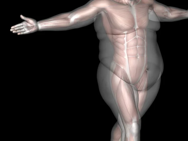 Grasso sovrappeso vs in forma uomo — Foto Stock