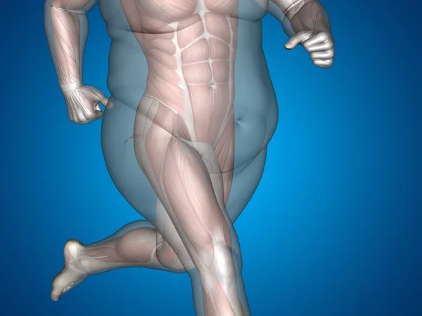Υπέρβαρα slim fit ο άνθρωπος vs — Φωτογραφία Αρχείου