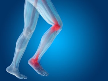 insan anatomisi, eklem ağrısı