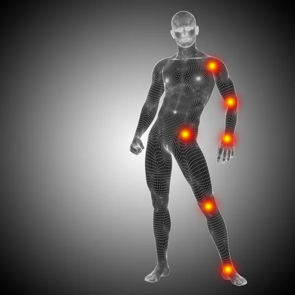 Kavramsal insan anatomisi — Stok fotoğraf