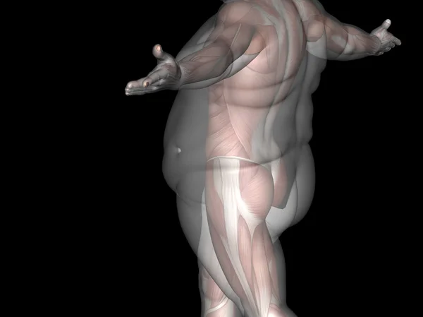 Fett Übergewicht gegen fitten Mann — Stockfoto