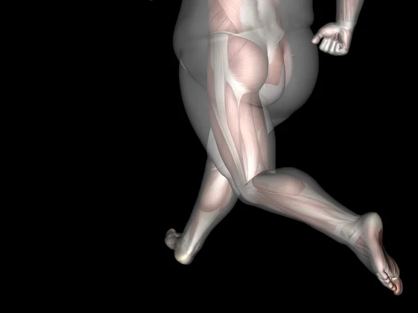 Жирна надмірна вага проти стрункої людини — стокове фото