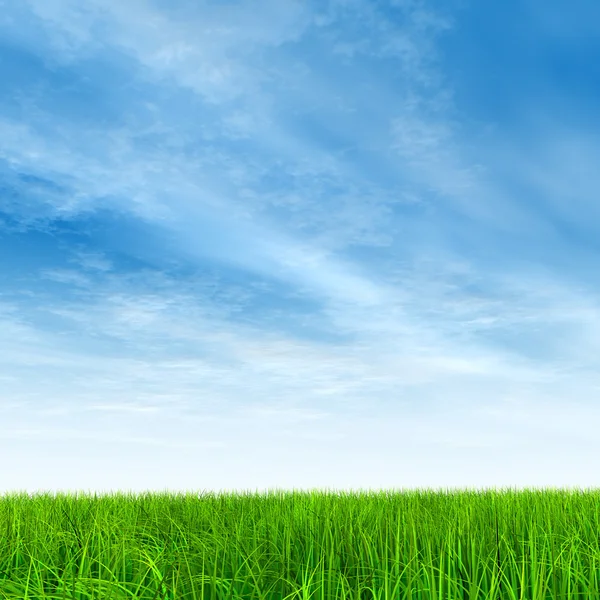 Campo de hierba y cielo azul — Foto de Stock