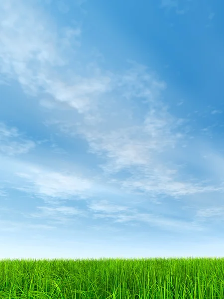 Wiese und blauer Himmel — Stockfoto