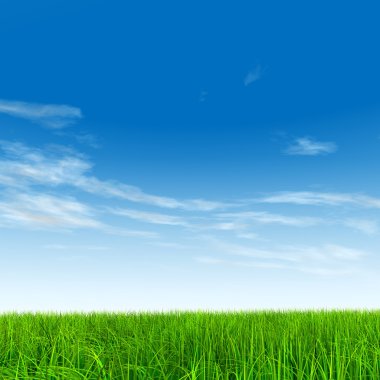 çimen tarlası ve mavi gökyüzü