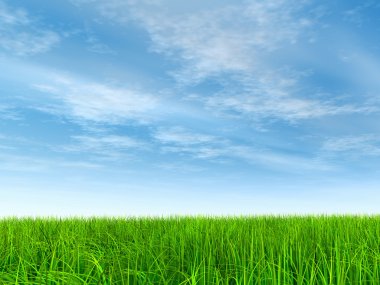 çimen tarlası ve mavi gökyüzü