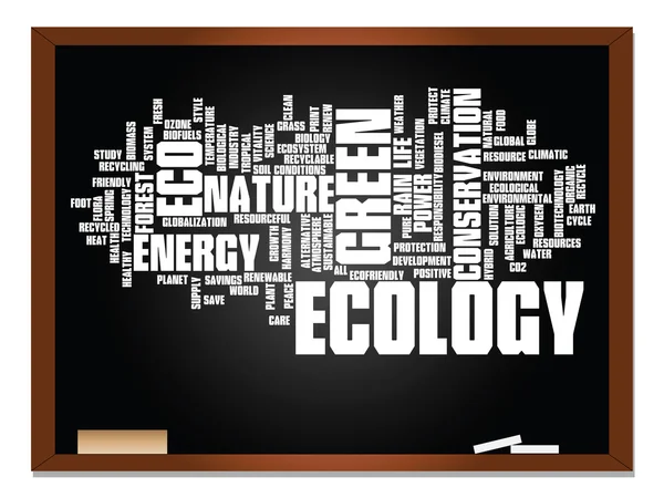 Conservation word cloud  on blackboard — Stock Photo, Image