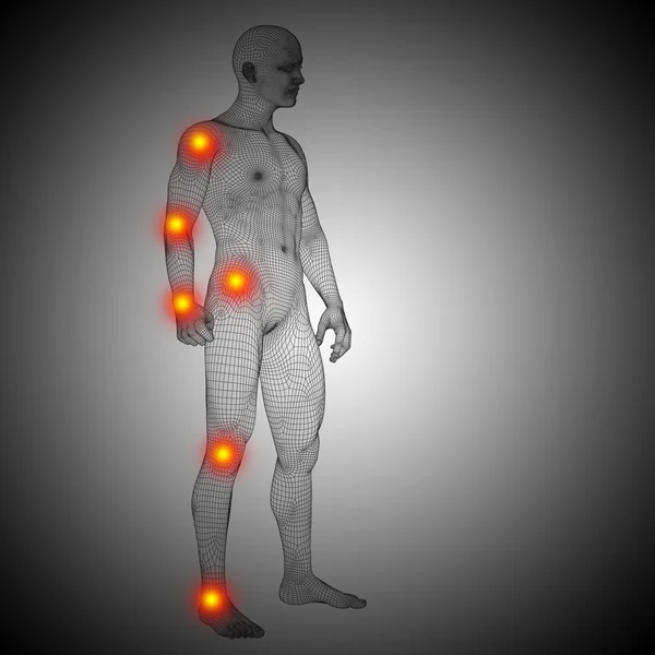 Kavramsal insan anatomisi — Stok fotoğraf