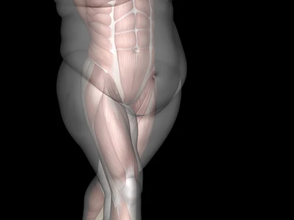 뚱뚱한과 체중 vs 맞는 남자 — 스톡 사진