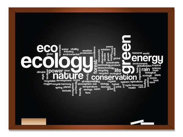 Conservation word cloud  on blackboard — Stock Photo, Image