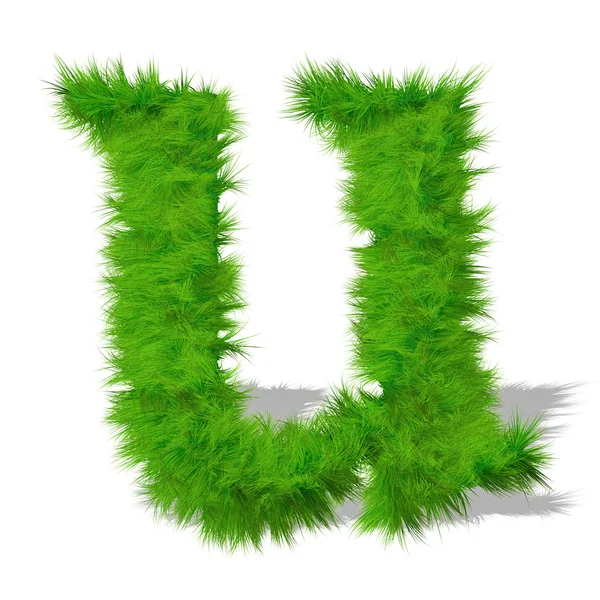 Green grass font — Stock Photo, Image