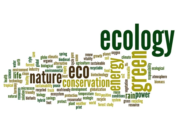 Abstrakte Ökologie und Naturschutz Wortwolke — Stockfoto