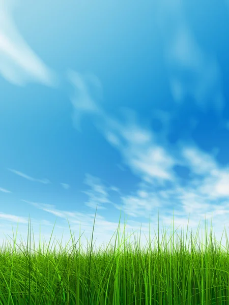 Çimen tarlası ve mavi gökyüzü — Stok fotoğraf