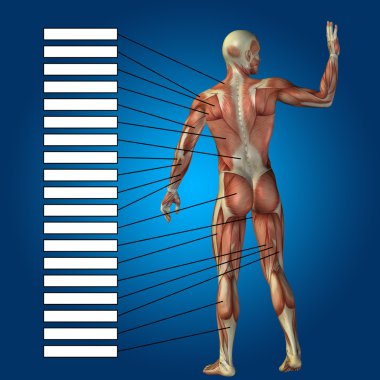 adam kasları ve metin kutuları