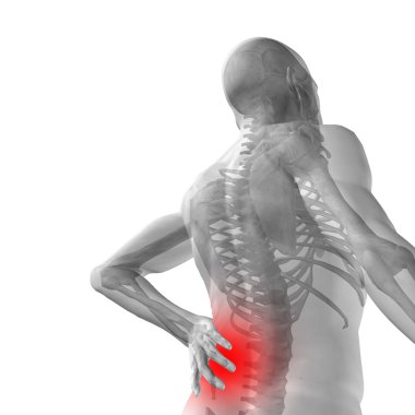 adam anatomisi arka ağrı ile