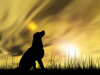siyah köpek siluet