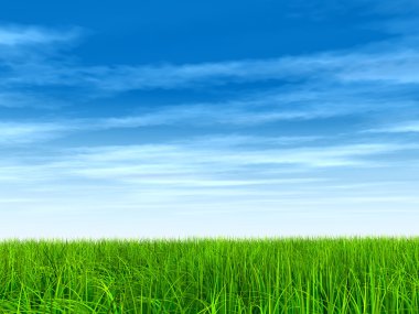  Taze ve doğal çim sahası 