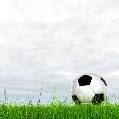 çim futbol topu 
