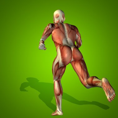 kavramsal stong insan 