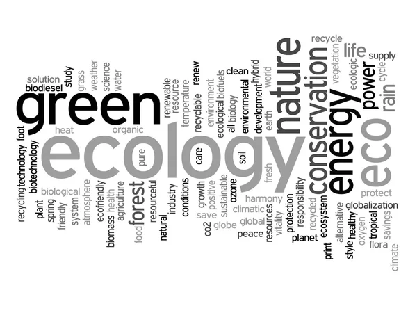 Ecologie word cloud-tekst — Stockfoto