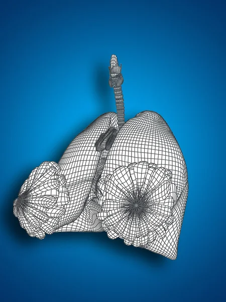 Wireframe mesh respiratory system — Stock Photo, Image