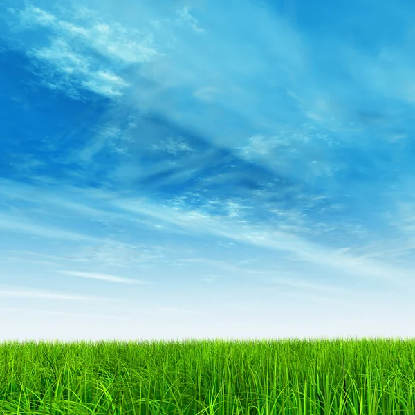 Natural grass field — Stock Photo, Image