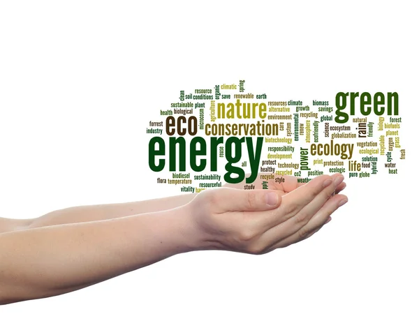 Ecologie word cloud-tekst — Stockfoto